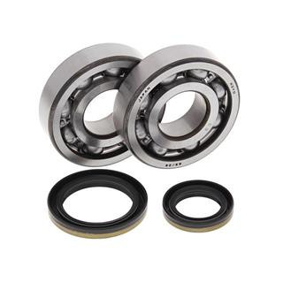 Kit roulements de vilebrequin all balls Suzuki rm250 1008847