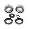 Kit roulements de vilebrequin all balls KTM sx50 1008879