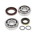 Kit roulements de vilebrequin all balls KTM sx65 | Oxmoto