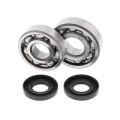 Kit roulements de vilebrequin all balls Kawasaki kx125 1008840