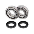 Kit roulements de vilebrequin all balls Kawasaki kx500