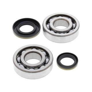 Kit roulements de vilebrequin all balls Suzuki rm250 1008862