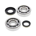 Kit roulements de vilebrequin all balls Suzuki rm250 1008862