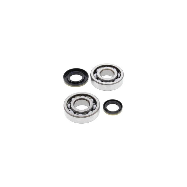 Kit roulements de vilebrequin all balls Suzuki rm250 1008862