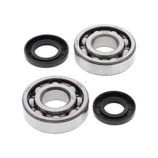 Kit roulements de vilebrequin all balls Kawasaki kx250 1008842