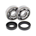 Kit roulements de vilebrequin all balls Kawasaki kx125 1008841