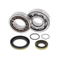 Kit roulements de vilebrequin all balls gas gas ec250/300