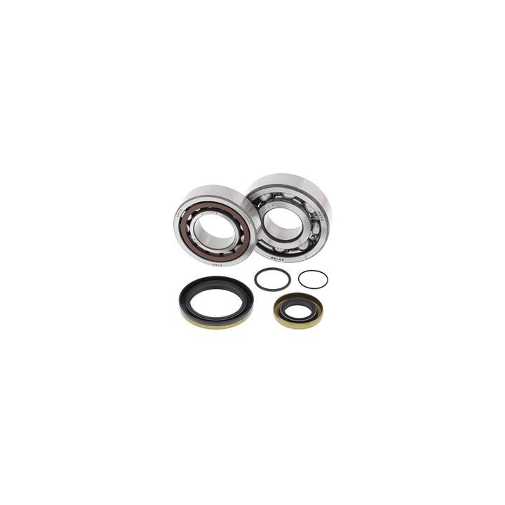Kit roulements de vilebrequin all balls gas gas ec250/300