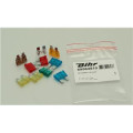 Fusibles Bihr 10 pcs | Oxmoto