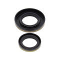 Joints spy de vilebrequin all balls Suzuki rm250 1008920