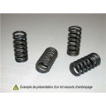Kit ressorts d'embrayage 1009111 | Oxmoto