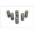 Kit ressorts d'embrayage pour rm250 06-08 | Oxmoto