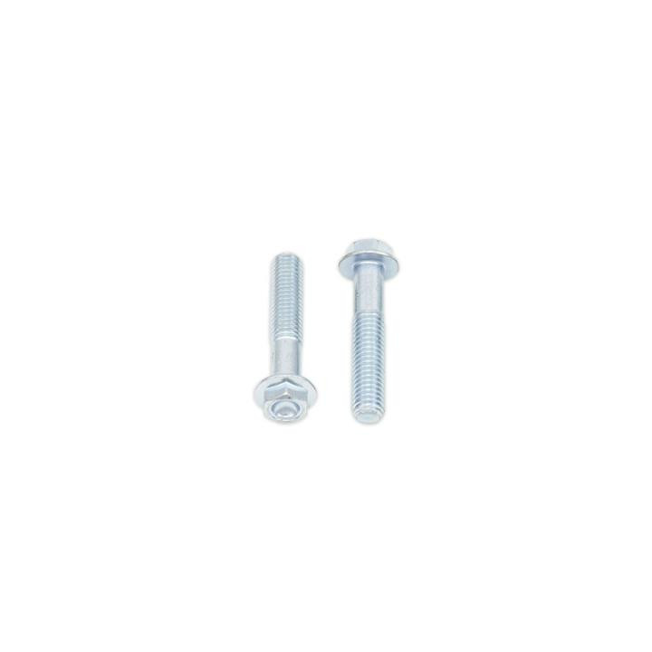 Vis à bride Bolt tête hexagonale 10mm M8x1,25x40mm 10 pièces