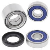 Kit roulements de roue ALL BALLS