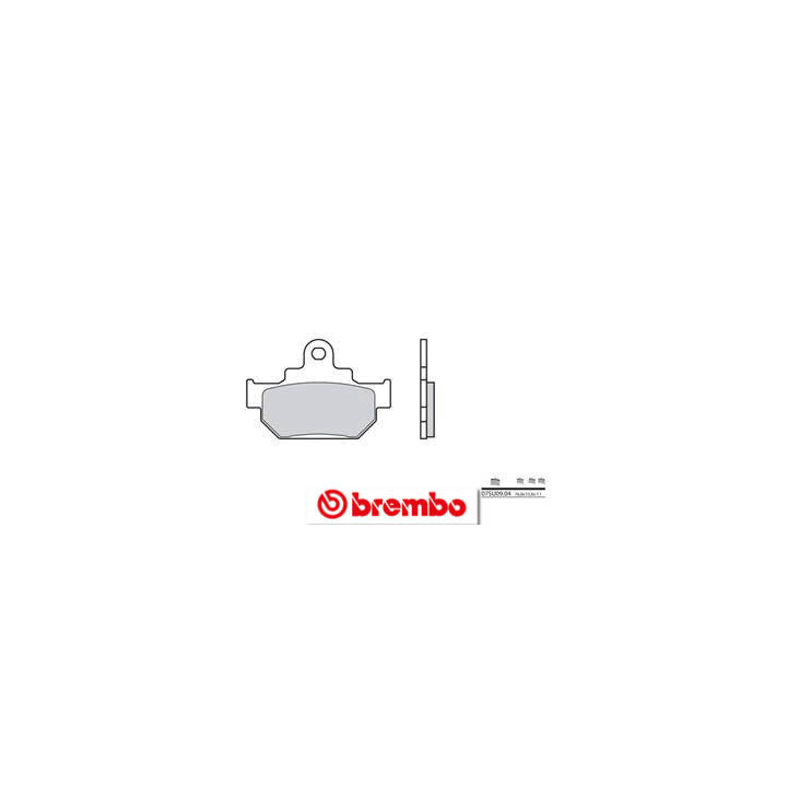 Plaquettes de frein Brembo route carbone céramique - 07SU0904