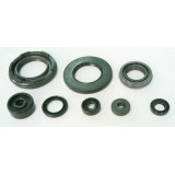 Jeu de joints spi moteur TOURMAX