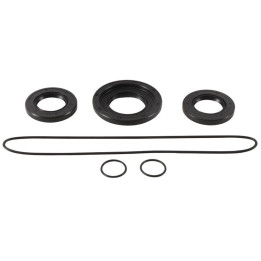 Kit joints de différentiel arrière ALL BALLS