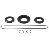 Kit joints de différentiel arrière ALL BALLS