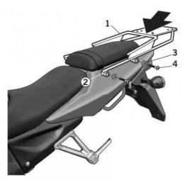 Fixation SHAD Top Master Daelim