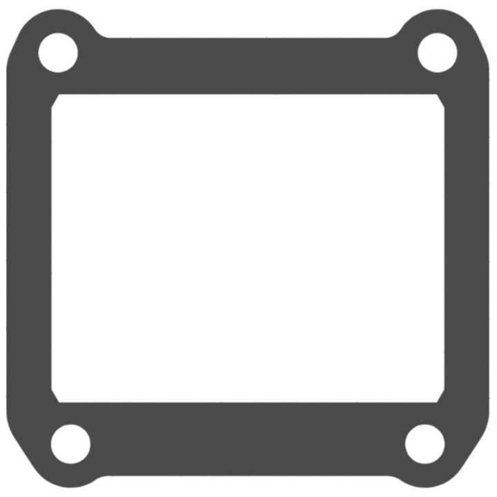 Joints de clapet V-FORCE - jeu de 2 joints