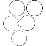 Segment VERTEX Ø98,95 mm