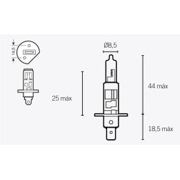 Ampoule TECNIUM H1 12V 55W