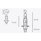 Ampoule TECNIUM H1 12V 55W
