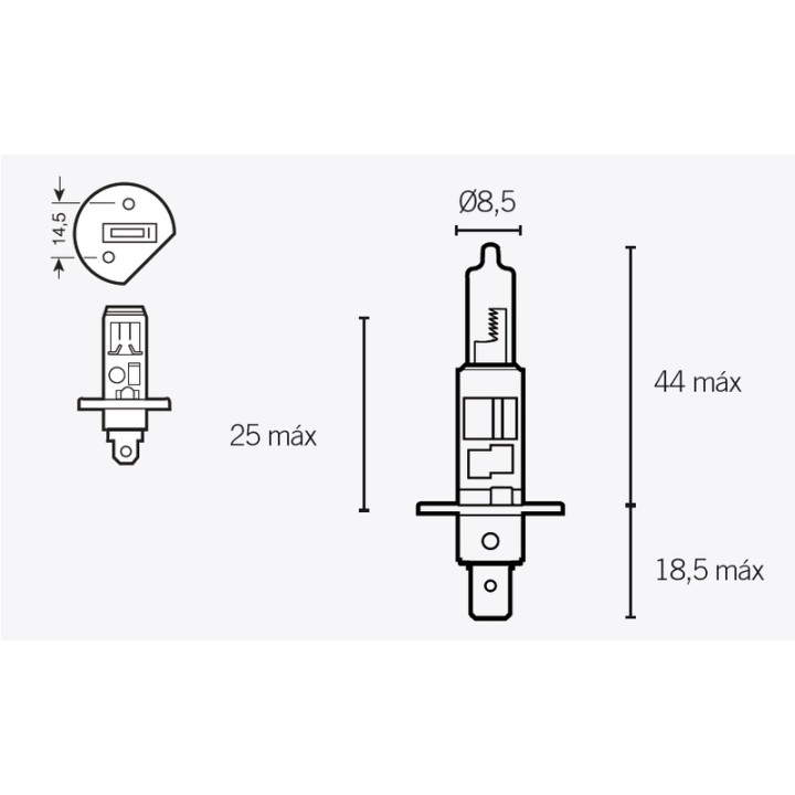 Ampoule TECNIUM H1 12V 55W