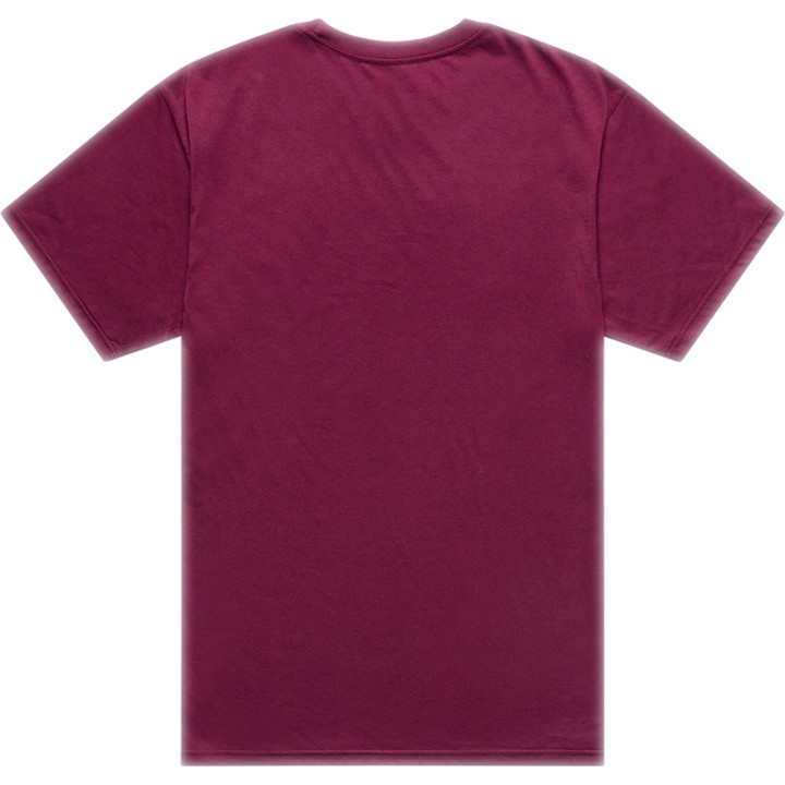 T-Shirt TROY LEE DESIGNS Flame2 - Sangria