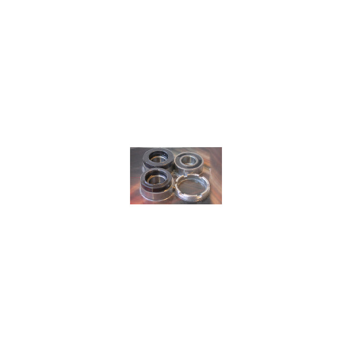 Kit roulements de roue arriere pour Honda cr125/250/500 1990-99