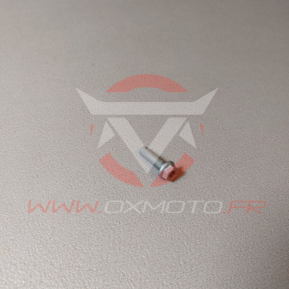 Vis Gas Gas KTM m6x20 tx30 | Oxmoto