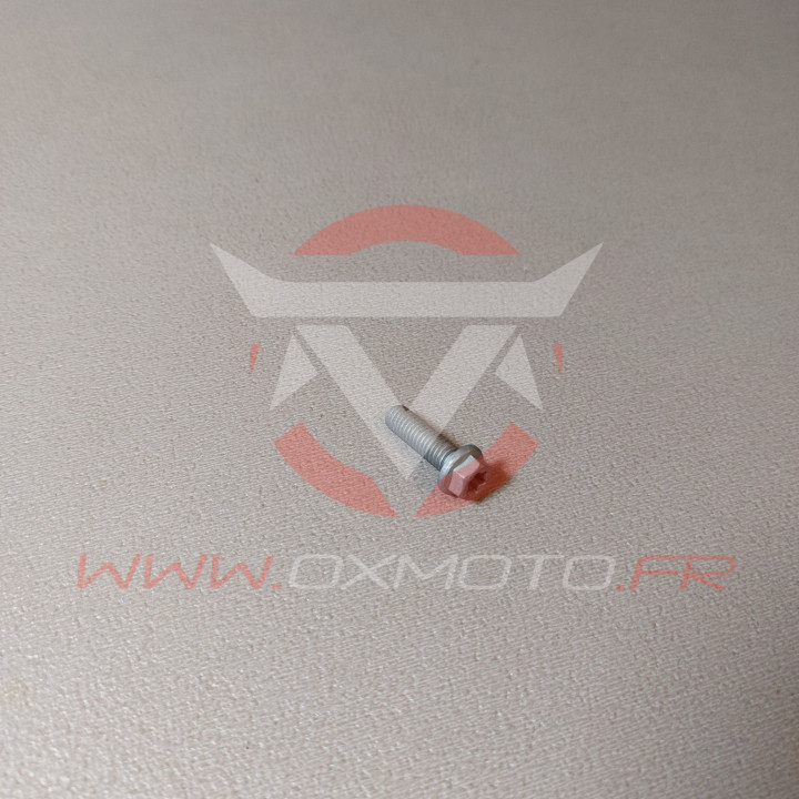 Vis Gas Gas KTM m6x20 tx30 | Oxmoto