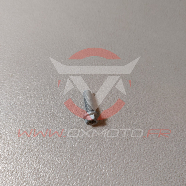 Vis Gas Gas KTM m6x20 tx30 | Oxmoto