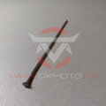 Rayon arrière 19" Gas Gas origine | Oxmoto