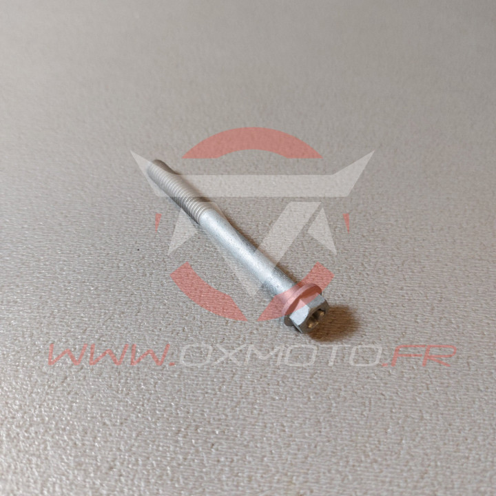 Hh collar screw m6x60 tx30 | Oxmoto