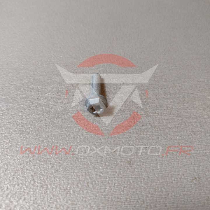 Hh collar screw m5x20 tx30 25050206 | Oxmoto