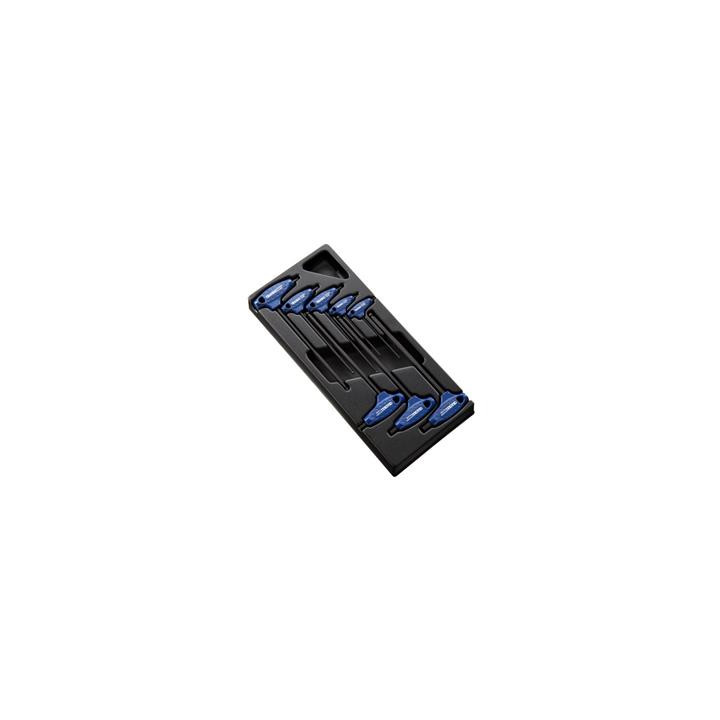 Module d'outils Expert 8 clés males 6 pans en t - plateau plastique