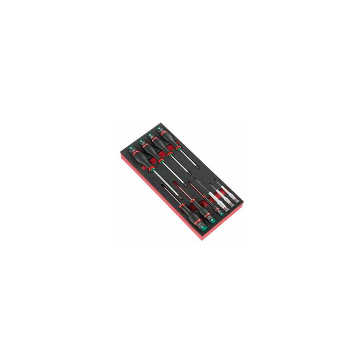 Module FACOM 10 tournevis protwist® en plateau mouse