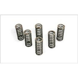 Kit ressorts d'embrayage pour RM250 | Oxmoto