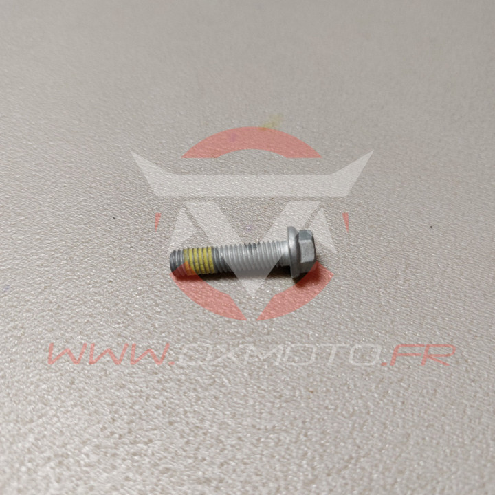 Vis ktm/gasgas origine m6x25 isa30 0025060256S | Oxmoto