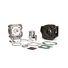 Kit cylindre fonte MALOSSI ø40 | Oxmoto