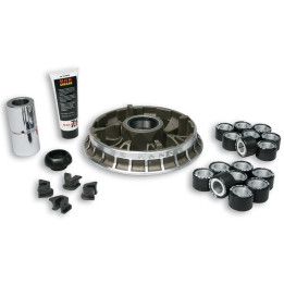Variateur MALOSSI Multivar 2000 - BMW C600 - 650 | Oxmoto