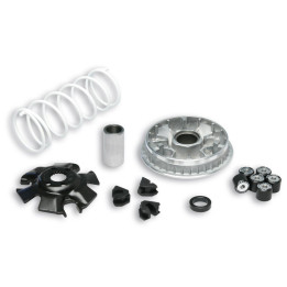 Variateur MALOSSI Multivar 2000 - Suzuki | Oxmoto