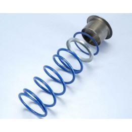 Ressort de poussée Polini Evo Slider +17% Gilera GP800