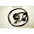 Stator Electrosport Kawasaki kx85/kx100 1077968 | Oxmoto