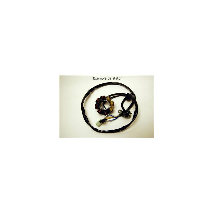 Stator Electrosport Kawasaki kx85/kx100 1077968 | Oxmoto