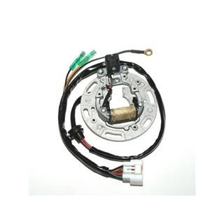 Stator Electrosport Kawasaki kx85/kx100 1077967 | Oxmoto
