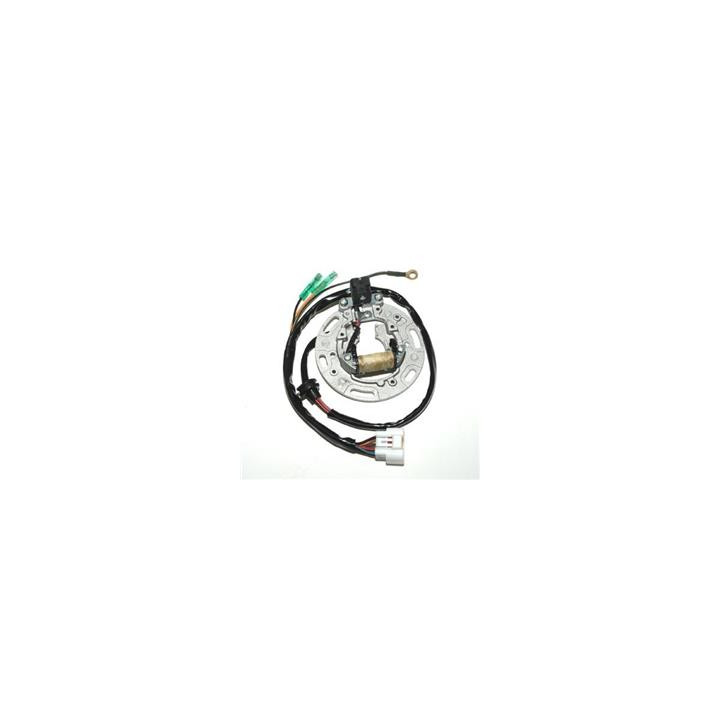 Stator Electrosport Kawasaki kx85/kx100 1077967 | Oxmoto