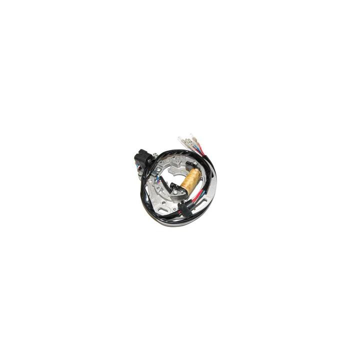 Stator Electrosport Kawasaki kx80/kx100 | Oxmoto