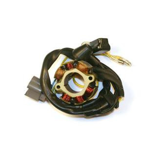 Stator Electrosport avec bobine d'éclairage Kawasaki kx250f/suzuki rm-z250